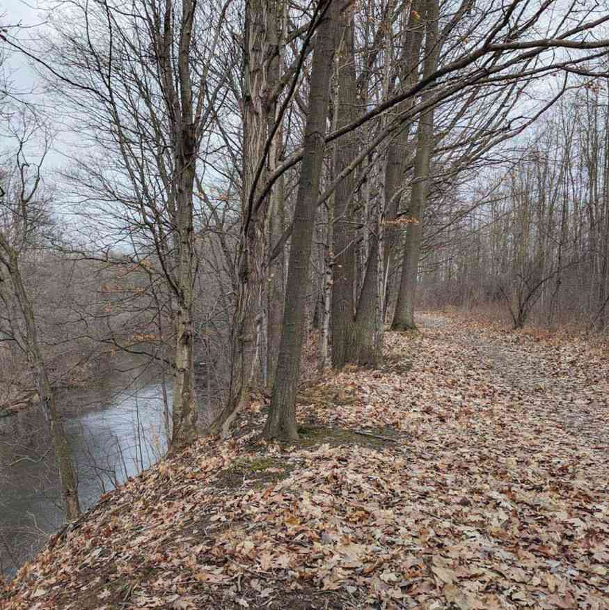 Picture of Black Creek