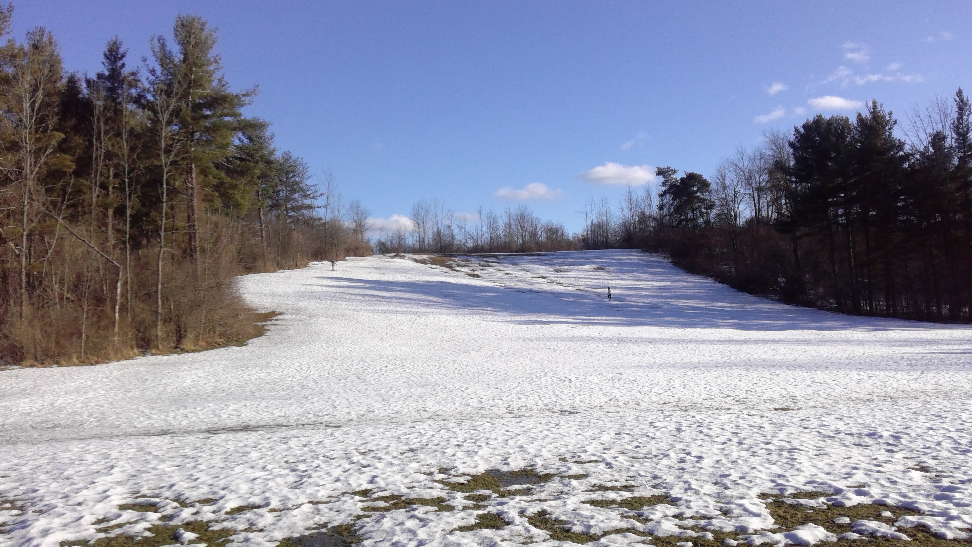 Picture of the Sledding Hill